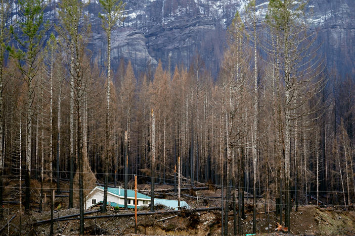 Mary Bradshaw's house in Elkhorn, Ore., in February. The fire-hardened home was one of the few that survived last year's Beachie Creek Fire in the area.