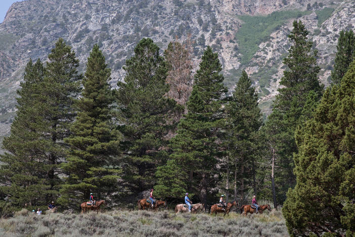 Horseback riders head down a trail near June Lake, Calif. As post-pandemic travel increases, people are flocking to outdoor activities and rural areas.