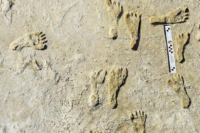 Fossilized human footprints shown at the White Sands National Park in New Mexico. According to a report published in the journal <em>Science</em>, the impressions indicate that early humans were walking across North America around 23,000 years ago.