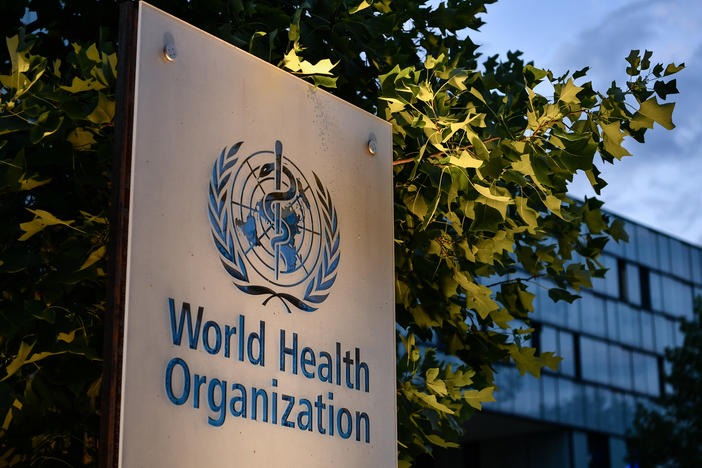 A report by the World Health Organization this week detailed 83 allegations of sexual abuse by its employees during the Ebola crisis that began in 2018 in the Democratic Republic of Congo. WHO Director-General Tedros Adhanom Ghebreyesus called it a "dark day" for the U.N. body.