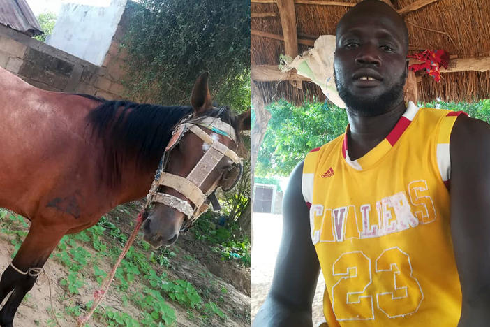 Bassirou Ndao's horse ran away. He needed the animal for his farmwork and couldn't afford a replacement. Posting a photo on the Trouvés ou Perdus Facebook page led to an equine reunion.