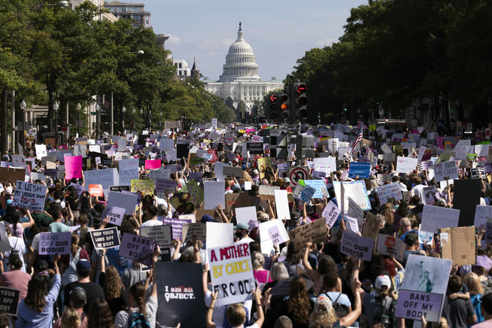 With the U.S. Capitol in the background, thousands of demonstrators take to the streets in downtown Washington, D.C., during the Women's March on Saturday.