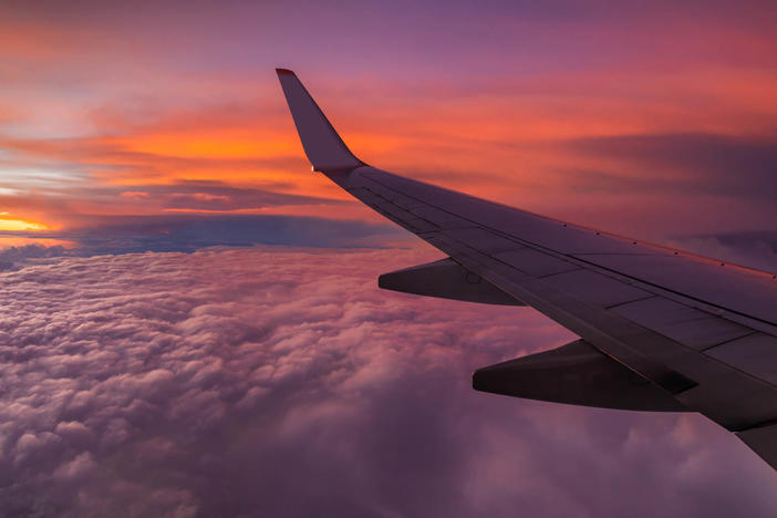 Google Flights will now show users what the carbon emissions of their prospective trips will be when they search for flight options.