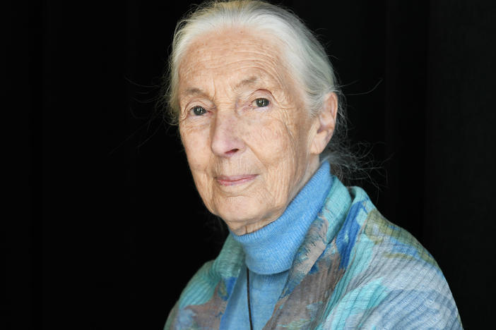 Dr. Jane Goodall in 2019. She has co-authored a new book, <em>The Book Of Hope</em>.