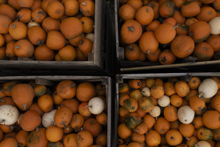 Pumpkins stacked up at Tulleys farm in Crawley, England, on Friday. The U.S. celebrates National Pumpkin Day every Oct. 26.