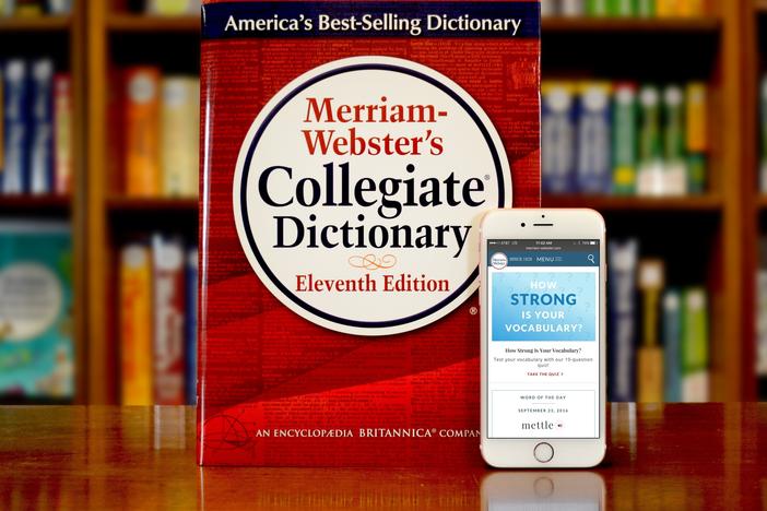 The Merriam-Webster dictionary added 455 new words in October, many related to online slang or the coronavirus pandemic.