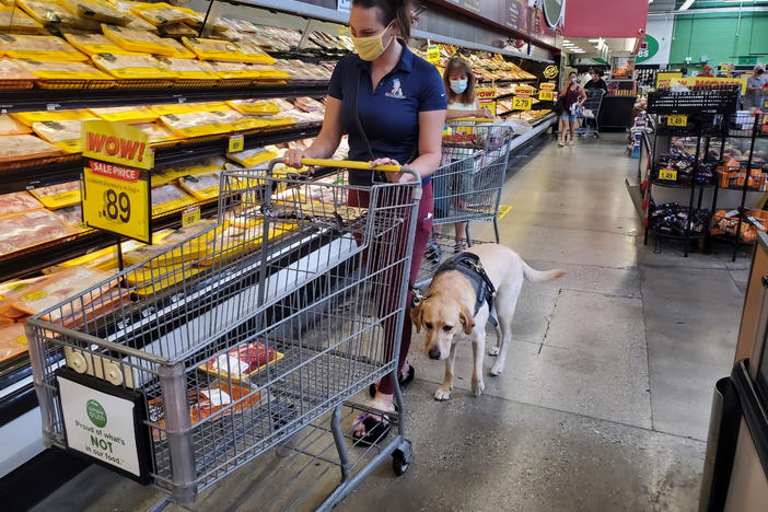 Danyelle Clark-Gutierrez and her service dog, Lisa, shop for food at a grocery store. Clark-Gutierrez got the yellow Labrador retriever to help her cope with post-traumatic stress disorder after she experienced military sexual trauma while serving in the Air Force.