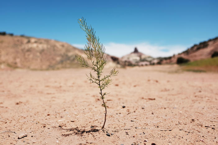 A dry landscape pictured on Navajo Nation lands on in the town of Gallup, New Mexico in June 2019. New research says the near-total loss of tribal lands in the U.S. has left Indigenous people more vulnerable to climate change.