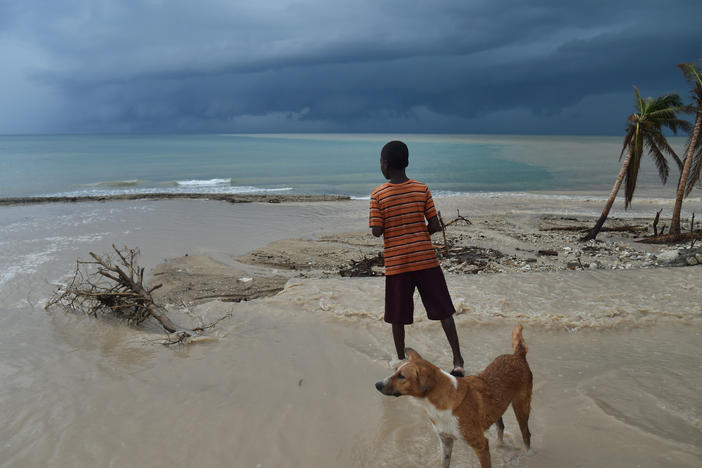 A child and a dog run along a beach in Haiti, from where health workers appear to have contracted a new coronavirus. Around the world, in Malaysia, a similar coronavirus has been found — apparently being passed to humans from dogs.