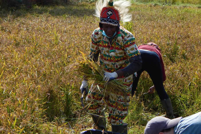 Nfamara Badjie performs for the rice harvesters on his farm north of New York City.