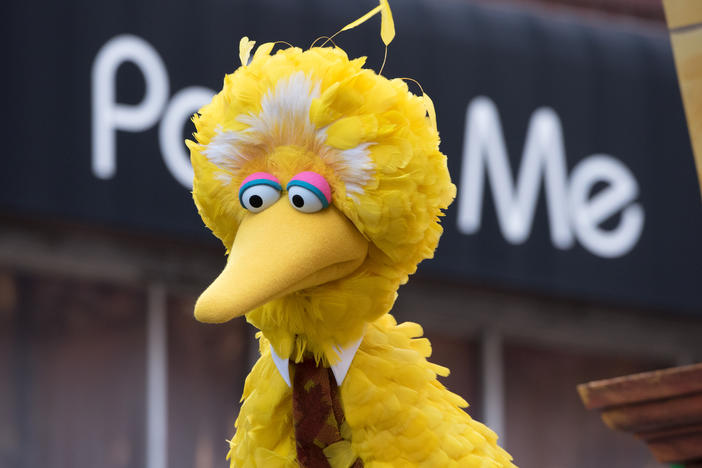 Big Bird of Sesame Street attends the 2018 Macy's Thanksgiving Day Parade in New York City. His announcement about getting the COVID-19 vaccine elicited a mixed response.