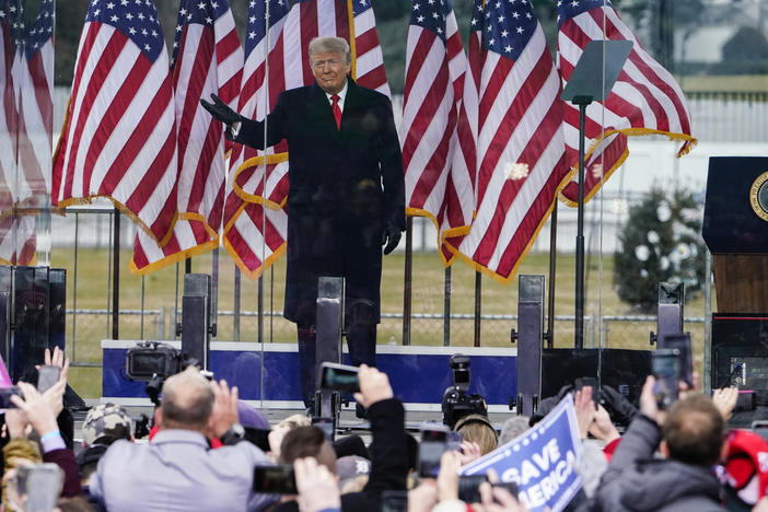 On Jan. 6, then-President Donald Trump spoke at a rally in Washington, after which his supporters marched to and breached the Capitol.
