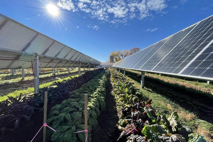 This year, the garden produced more than 8,000 pounds of produce, while the panels above generate enough power for 300 local homes.