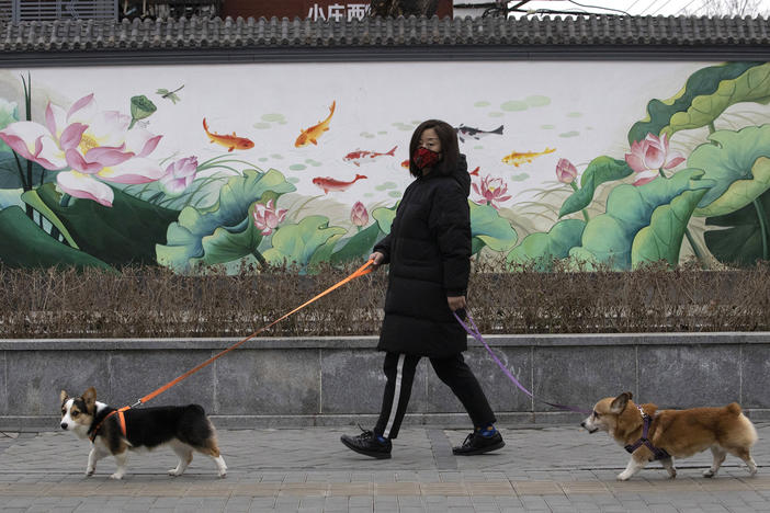 A resident walks her dogs in Beijing. Municipal authorities in the city of Shangrao apologized and posted a statement online saying that workers who killed a dog while its owner was away in quarantine had been fired.