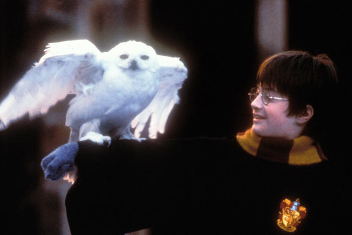 A young Daniel Radcliffe stars as Harry Potter in "Harry Potter and The Sorcerer's Stone," which premiered in 2001.