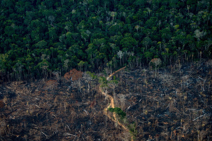 An aerial view shows a deforested area of Amazonia rainforest in Labrea, Amazonas state, Brazil, in September.