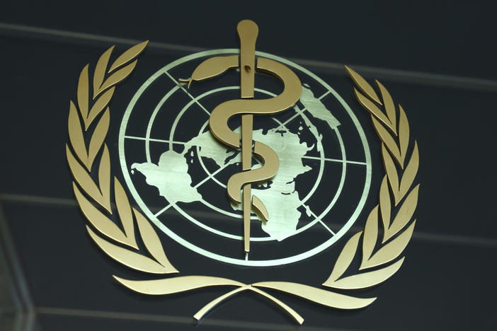 On November 29, the World Health Organization will convene a virtual summit for its member states to consider the handling of future outbreaks. Pictured above: WHO headquarters in Geneva, Switzerland.