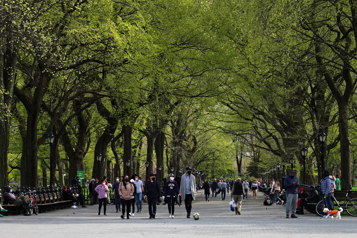 Premature greening in urban trees could have negative environmental and economic impacts, a new study has found.