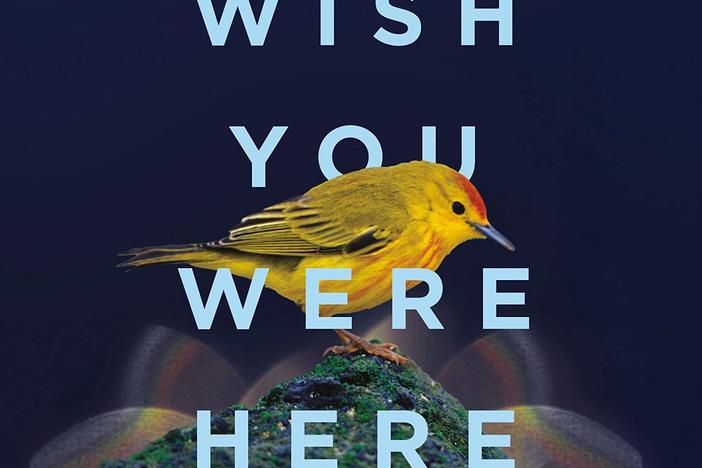 <em>Wish You Were Here,</em> by Jodi Picoult