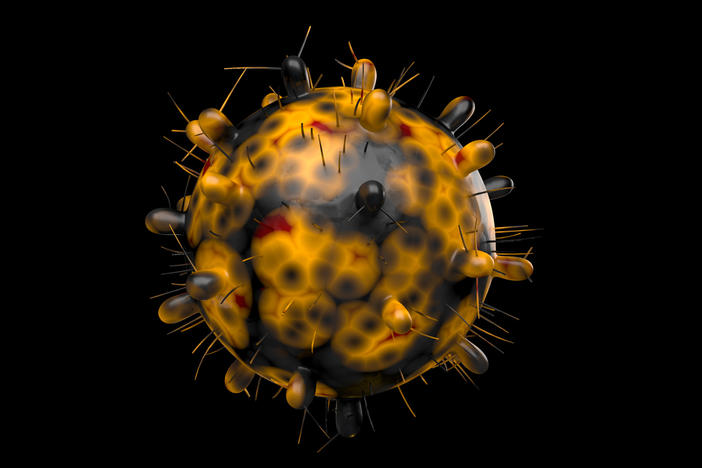 Here's a computer-generated image of the omicron variant of the coronavirus — also known as B.1.1.529. Reported in South Africa on Nov. 24, this variant has a large number of mutations, some of which are concerning.