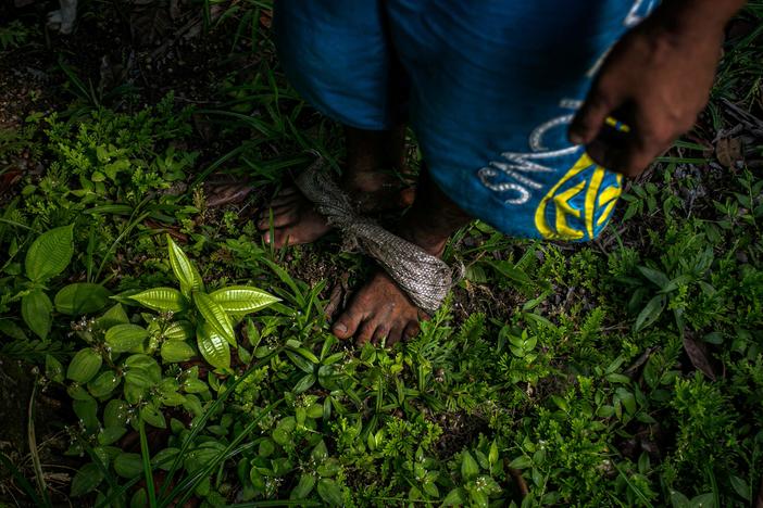 Detail of the fabric used on his feet by Marcos Antonio Costa, 27, to climb açaí palm trees to pick its berries in the rainforest near Melgaco, southwest of Marajo Island, state of Para, Brazil, on June 6, 2020.