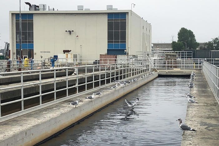 The wastewater facility in San Jose, Calif., processes sewage from about 1.4 million people and 22,000 businesses. The facility is part of a network of communities testing their wastewater for the omicron variant of the coronavirus.