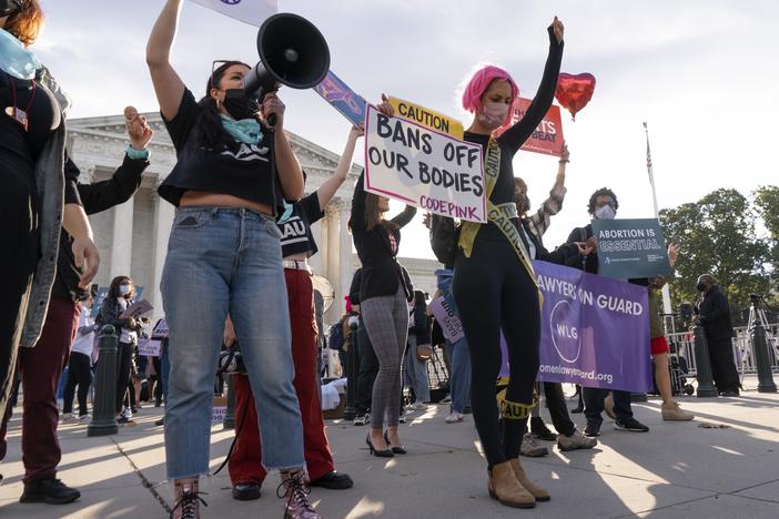 Abortion-rights and anti-abortion activists rally outside the Supreme Court on Nov. 1, as arguments are set to begin about abortion by the court, on Capitol Hill in Washington. The court ruled on Friday that abortion providers can sue, but only against certain officials.