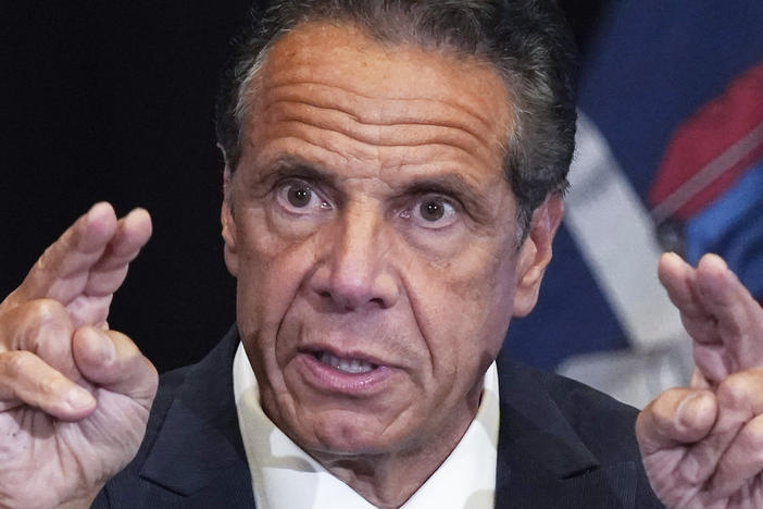 A lawyer for the former New York governor, Andrew Cuomo, says he will fight demands by the Joint Commission on Public Ethics to collect profits from <em>American Crisis: Leadership Lessons from the COVID-19 Pandemic.</em>