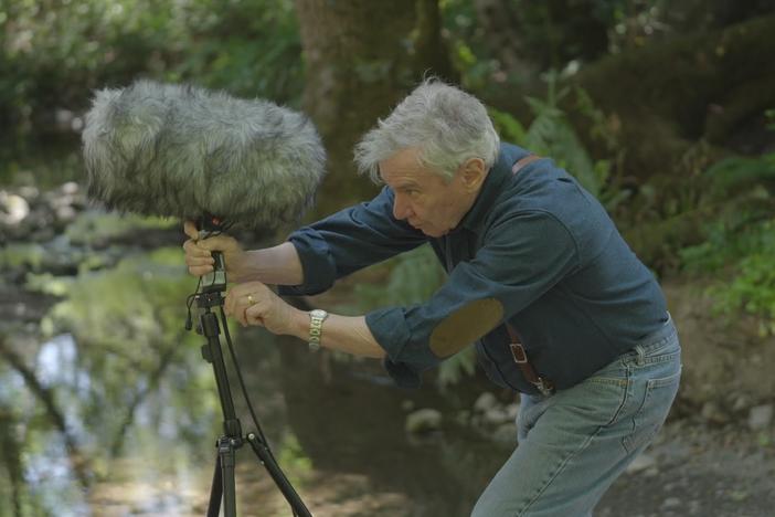 A still from the documentary <em>Bernie Krause, A Life with The Great Animal Orchestra</em>.