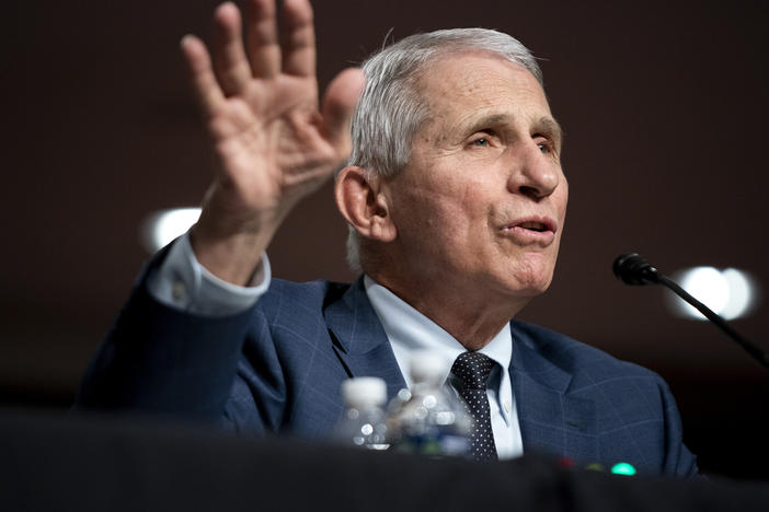 Dr. Anthony Fauci, White House chief medical adviser and director of the NIAID, testifies at a Senate Health, Education, Labor, and Pensions Committee hearing on Capitol Hill last week.