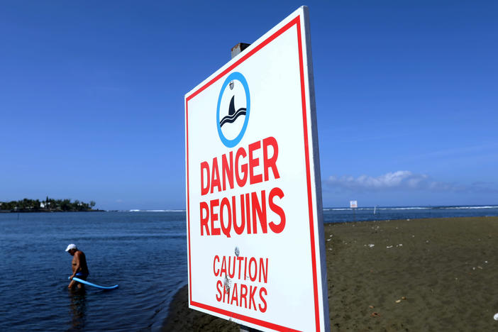 A man enters the water next to a sign warning on the danger of shark attacks at the L'Etang-Salé beach, on the Indian Ocean island of La Réunion in 2019.