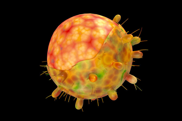 A computer-generated image of the omicron variant of the coronavirus.