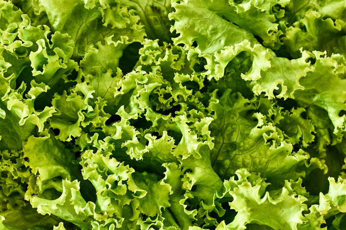 The CDC says it is also investigating a second listeria outbreak <a href="https://www.cdc.gov/listeria/outbreaks/packaged-salad-12-21-b/index.html" data-key="79">linked to Fresh Express packaged salads</a>. This outbreak was identified in December 2021 and has led to one death and 10 hospitalizations.