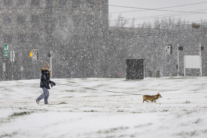 Kristin Matuszak walks her dog in the snow on Thursday in Dallas.