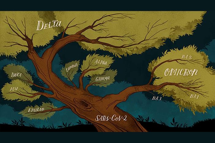 SARS-CoV-2 family tree