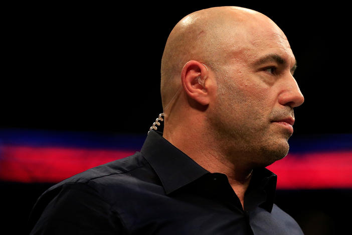 Podcaster and comic Joe Rogan, who also serves as a mixed martial arts commentator, looks on at a UFC fight in 2015.
