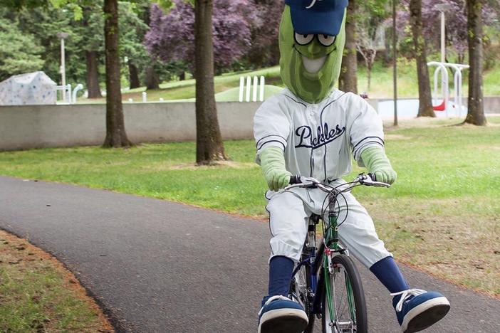 The Portland Pickles baseball team is asking Oregonians to be on the lookout for their mascot, Dillon T. Pickle, after he was stolen from the front porch of their office early Thursday morning.