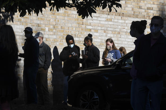 Voters wait in line to cast their ballots in the 2020 election on Nov. 3, 2020, in Auburn, Ala.