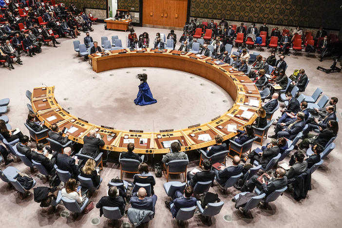 Russia was the only country to veto the non-binding resolution voted during Friday's United Nations Security Council meeting.