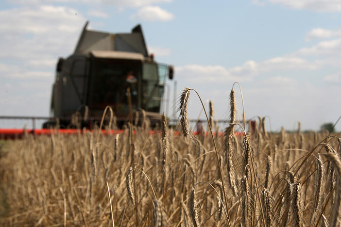 A farmer harvests a wheat field about 130 miles north of Kyiv in 2009.