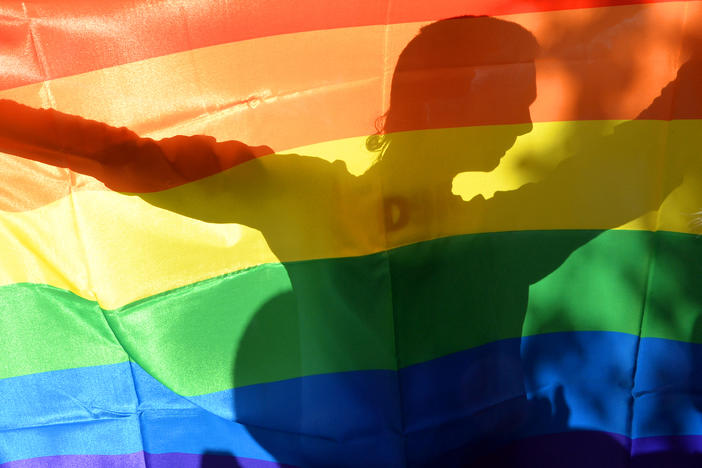 An activist's silhouette is seen through a rainbow flag during a gay pride parade in Kyiv on May 25, 2013.