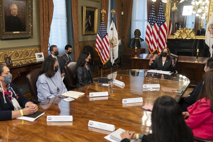 Vice President Harris speaks during a meeting with Native American community leaders about voting rights together with Secretary of the Interior Deb Haaland (left) in July 2021.