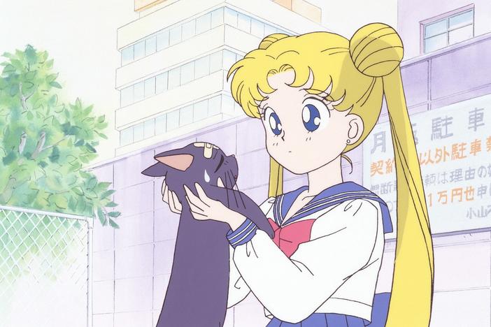 14-year-old schoolgirl Usagi Tsukino happens upon Luna, a magical talking cat, who tasks Usagi with becoming Sailor Moon and protecting the world from evil forces.