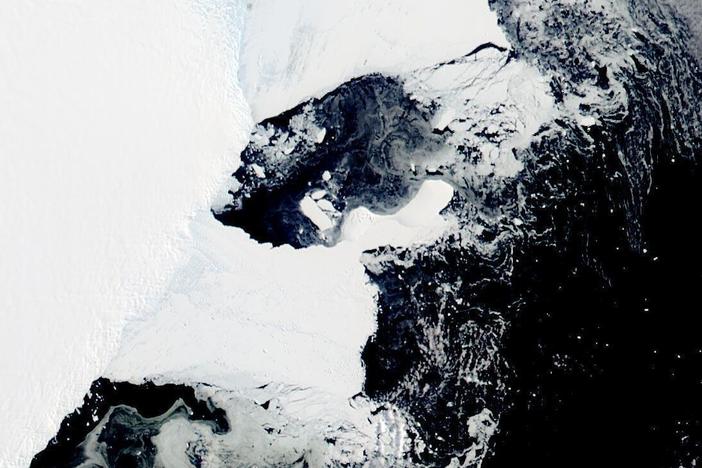 This satellite image shows the main piece of C-37 close to Bowman Island. Scientists are concerned because an ice shelf the size of New York City collapsed in East Antarctica, an area that had long been thought to be stable.