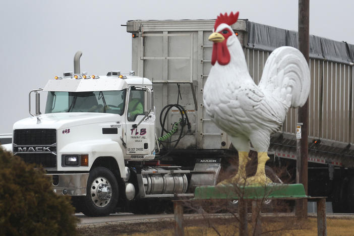 A truck drives out of a Wisconsin farm on Thursday where avian flu was detected, forcing the commercial egg producer to destroy more than 2.7 million chickens.