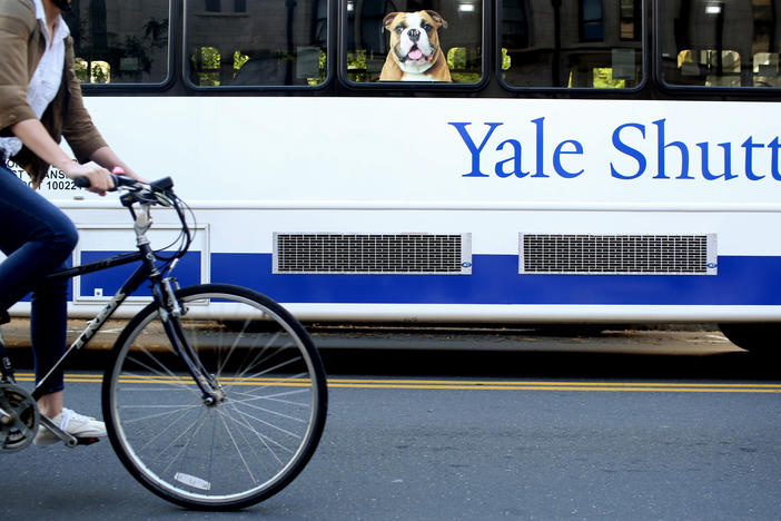 A former Yale University administrator has pleaded guilty to a years-long scheme of stealing electronics ordered for the university and reselling the items. Here, a shuttle drives students around Yale's campus.