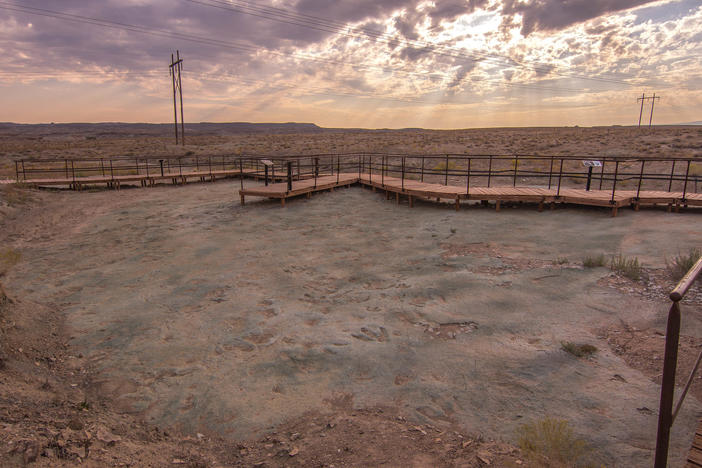 A photo of the the Mill Canyon Dinosaur Tracksite in Moab, Utah. A construction project at the site recently damaged some of the tracks and trace fossils.