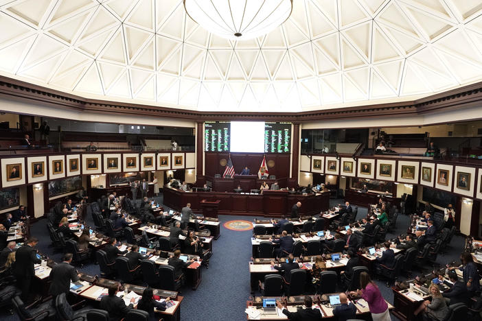 Members of the Florida House of Representatives are seen during a legislative session at the Florida State Capitol on March 7 in Tallahassee.