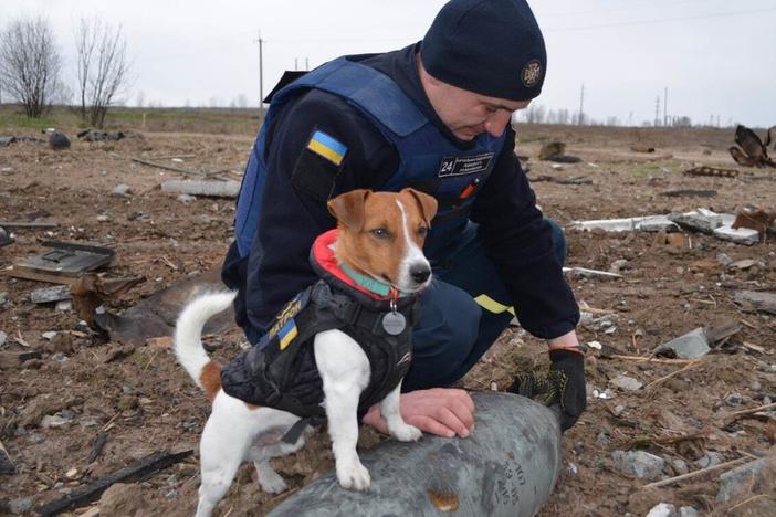 A Ukrainian pyrotechnic squad works alongside Patron, a bomb-sniffing dog.