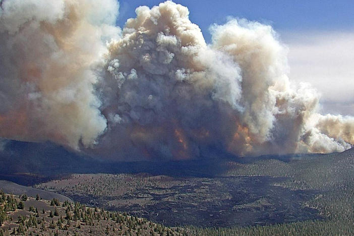 In this photo provided by the Coconino National Forest, the Tunnel Fire burns near Flagstaff, Ariz., on Tuesday, April 19, 2022.